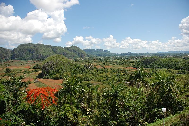 DC 11-0255-008.jpg :: Viñales Valley, Cuba:- View from the vantage point by the Los Jasmines Hotel. Viñales is a beautiful and lush valley in Pinar del Río province of Cuba, with a population of around 10,000. It's about 26 kilometers north of the city of Pinar del Río, and was declared a UNESCO World Heritage Site. Cuba was once covered by limestone (\