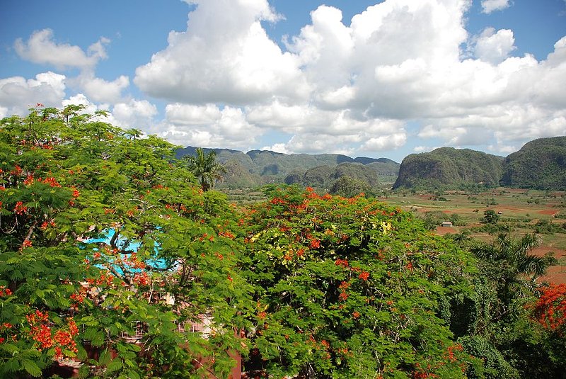 DC 11-0255-010.jpg :: Viñales Valley, Cuba:- View from the vantage point by the Los Jasmines Hotel. Viñales is a beautiful and lush valley in Pinar del Río province of Cuba, with a population of around 10,000. It's about 26 kilometers north of the city of Pinar del Río, and was declared a UNESCO World Heritage Site. Cuba was once covered by limestone (\