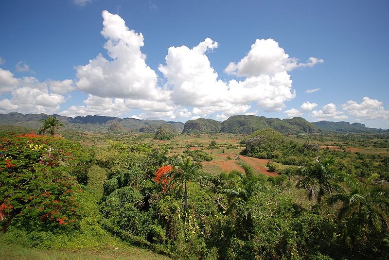 DC 11-0255-017.jpg :: Viñales Valley, Cuba:- View from the vantage point by the Los Jasmines Hotel. Viñales is a beautiful and lush valley in Pinar del Río province of Cuba, with a population of around 10,000. It's about 26 kilometers north of the city of Pinar del Río, and was declared a UNESCO World Heritage Site. Cuba was once covered by limestone (\
