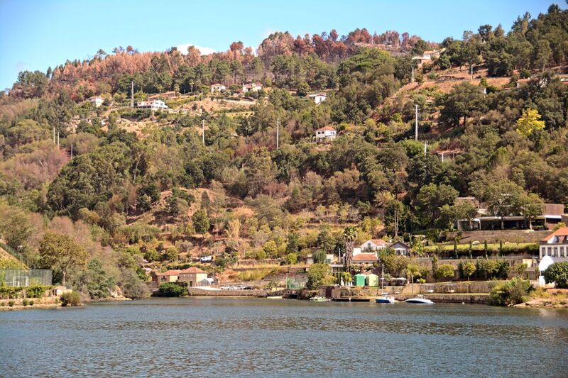 DC 22-0654-110.jpg :: Saga Douro River Cruise, Porto to Regua Lamego, River Douro: Early morning aboard the MS Douro Spirit departing Porto to Lamego. Embankment scenery on route to Lamego, passing Paços de Gaiolo in the Municipality of Marco de Canaveses.