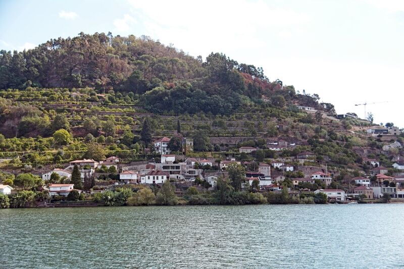 DC 22-0654-116.jpg :: Saga Douro River Cruise, Porto to Regua Lamego, River Douro: Early morning aboard the MS Douro Spirit departing Porto to Lamego. Embankment scenery on route to Lamego, passing Ribadouro. Photo taken 30/08/2022
