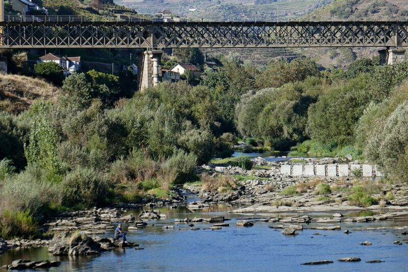 DC 22-0789-025.jpg :: Saga Douro River Cruise, Regua Lamego to Pinhao, River Douro: The Corgo River Railway Bridge, also known as the Corgo River Bridge or Corgo Bridge, is a railway infrastructure of the Corgo and Douro Lines, which crosses the Corgo River in the municipality of Peso da Régua. The section between Régua and Pinhão of the Douro Line, of which this bridge is part, was inaugurated on June 1, 1880; the inauguration of the first section of the Corgo Line, which also ran through this bridge, took place on May 12, 1906. Photo taken 30/08/2022.