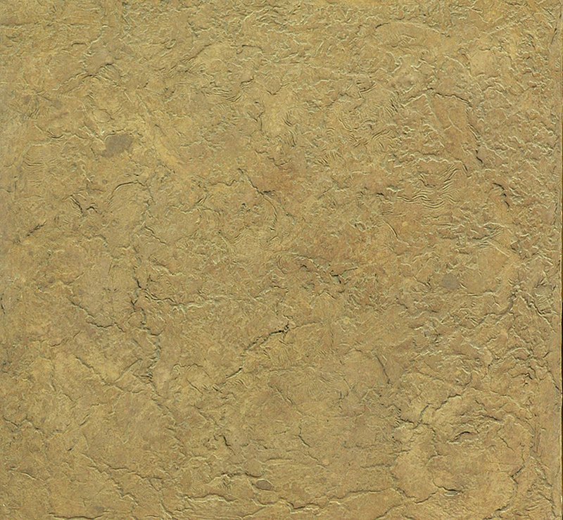LF012.jpg