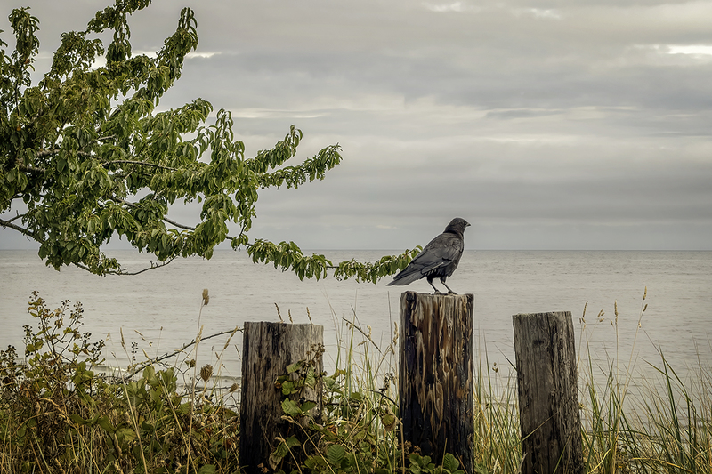 IMG_2351-Edit.jpg