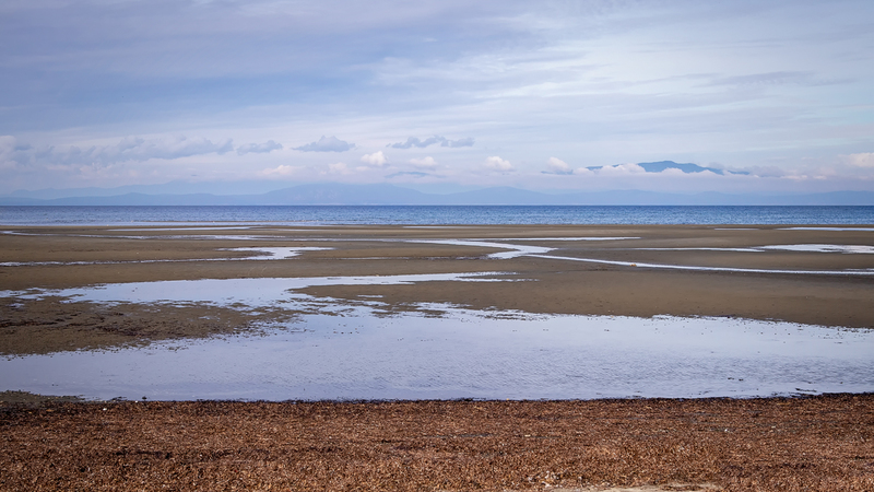 IMG_2551-Edit16 9.jpg
