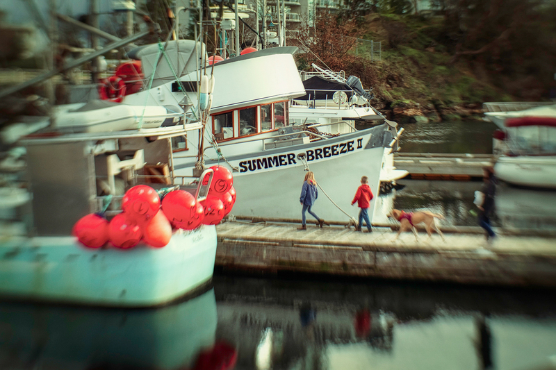 IMG_3947-Edit-2.jpg :: Lensbaby