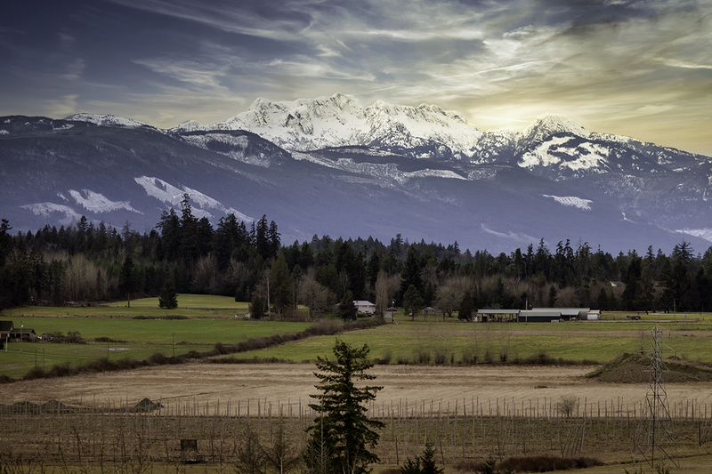 IMG_4347-Edit.jpg