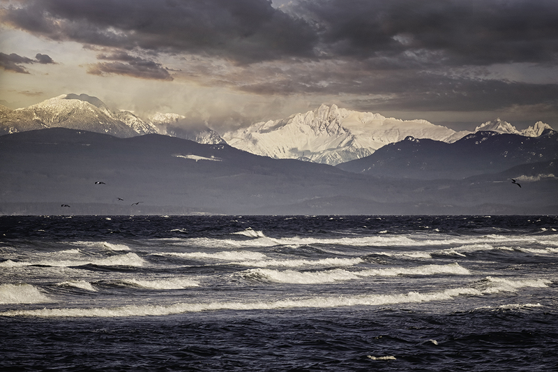IMG_4931-Edit-denoisebird.jpg