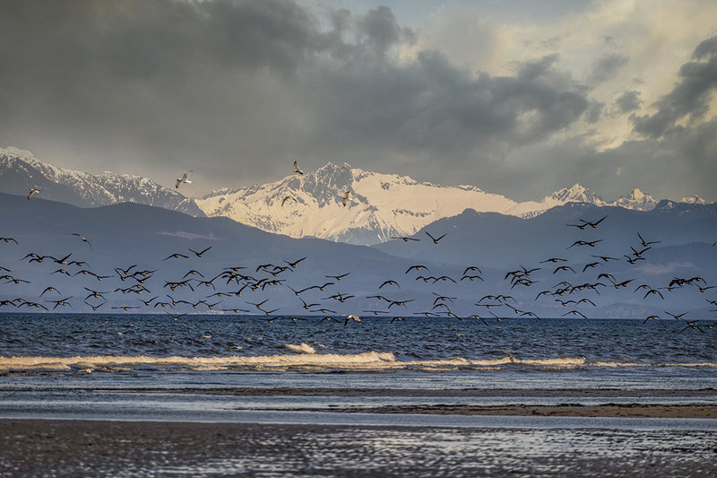 IMG_6459-Edit.jpg