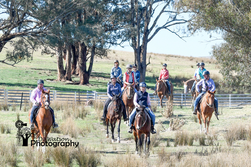 Brooklyn Springs Horsemanship Pt 2  Cr-44.jpg