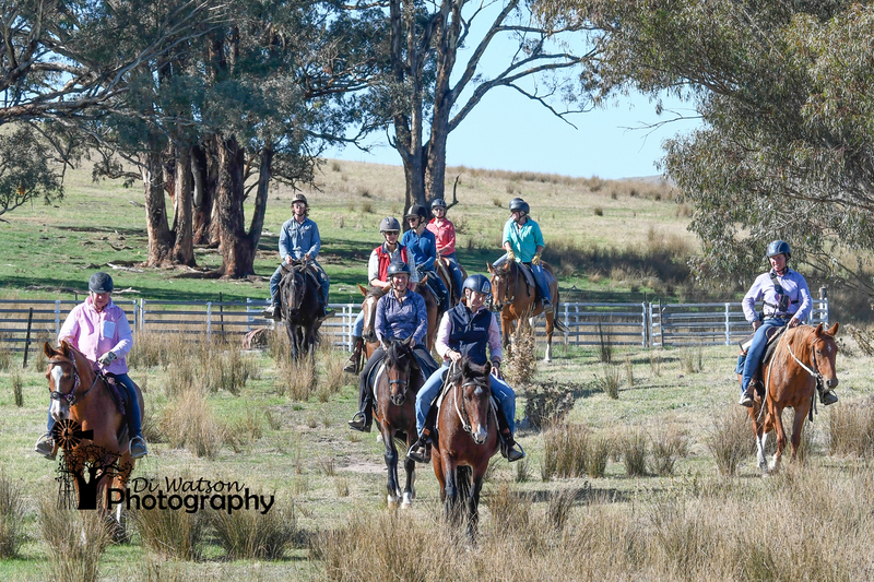 Brooklyn Springs Horsemanship Pt 2  Cr-45.jpg