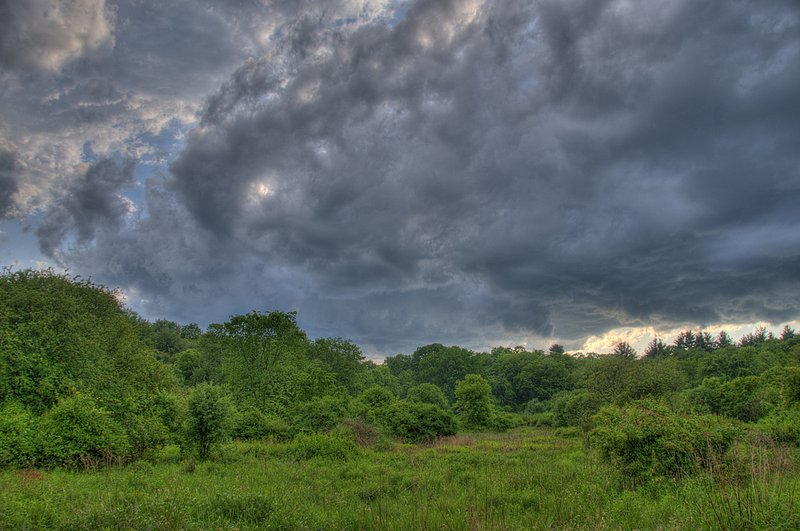 Cloudscape Light Along the Edge.jpg :: The sky reaches down, the fields rise up for an infinity minuet.