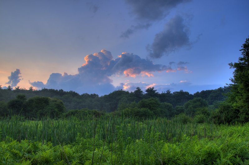 Cloudscape Verdant Indigo.jpg :: During a stormy July, I managed this photo just after the rain cleared and the sun was low in the sky.