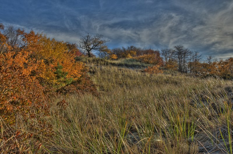 Companion to the Autumn Companions.jpg