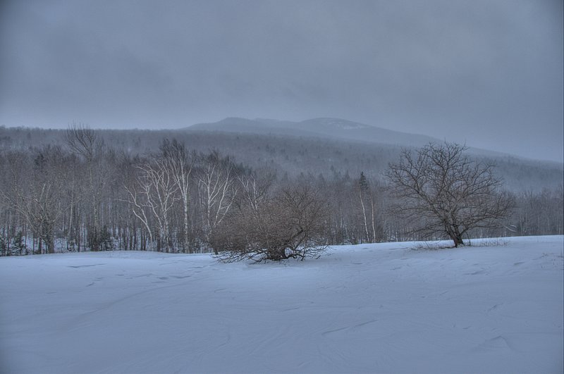 Eleven below zero 1200.jpg :: A beautiful snow field late in the afternoon in Grafton, Maine. It hit 17 below zero before the night was over. 
