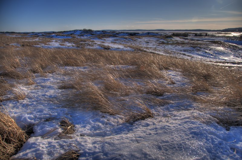 Glowing Dune Fields 1200.jpg :: Late afternoon light glances over the snowy fields, reflecting and refracting on the ice.