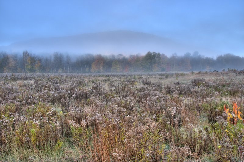 Icy Fall Field Newry Maine1345-51 1200.jpg :: Icy fall morning in Newry, Maine. Heavy frost on the fields conspired with a lustrous fog over the mountain to create this scene.