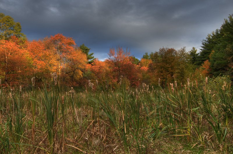October First Light.jpg