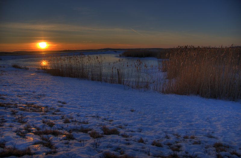 Sun and Marshfields in Winter 1200.jpg :: I love how the sun is evident not only in the sky, but also on the frozen pond, the salt marsh grasses, and the icey grasses in the foreground.