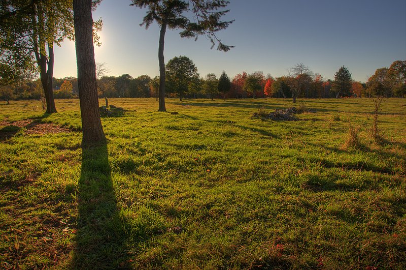 Surreal Fields.jpg :: Surreal Fields of Lincoln, MA. These fields are part of farm that dates back before the American Revolution. The low angle of the light on an autumn afternoon provides the force of this meditative image.