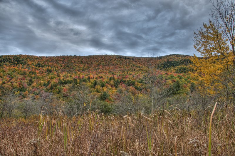 Vermont Autumn Tapestry.jpg