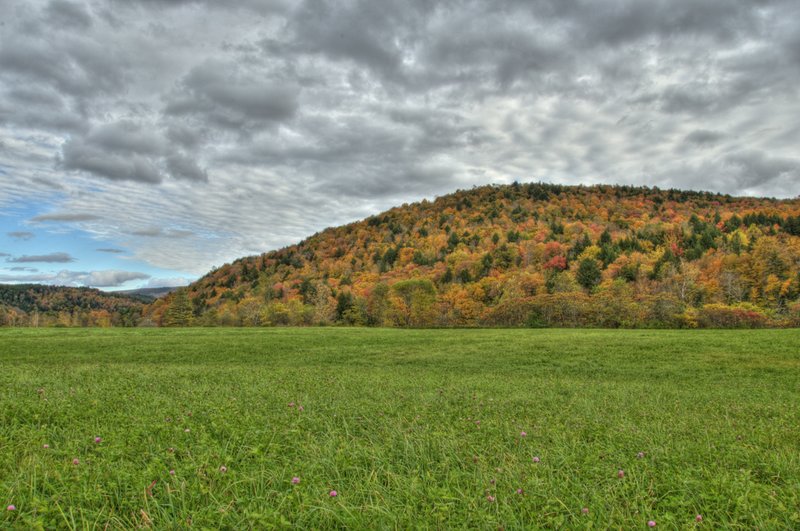 Vermont Pink into Orange.jpg