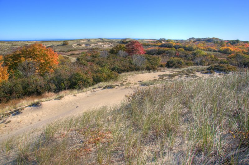 Autumn in the Dunes.jpg :: October morning in the dunes of Plum Island, MA. Another situation where I had been looking in one direction, then turned to see something even more amazing in the other direction. I quickly set up my tripod as the light was just perfect and I didn't want to miss it. I was fortunate that there was no wind, keeping the grasses in still reverie. Overhead a gorgeous blue sky framed the sand dunes and the autumn colors below. This image was created by combining 7 separate exposures to bring out subtle details of light, color, and shadow.