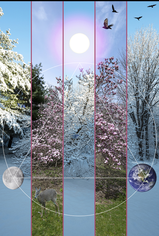 Magnolia Alchemy.jpg