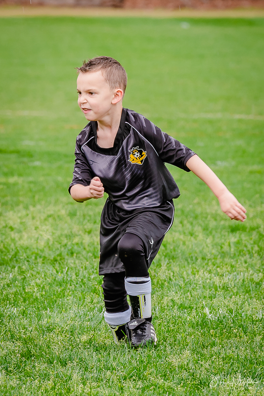 DLM_20160402_016_0002_lgweb.jpg