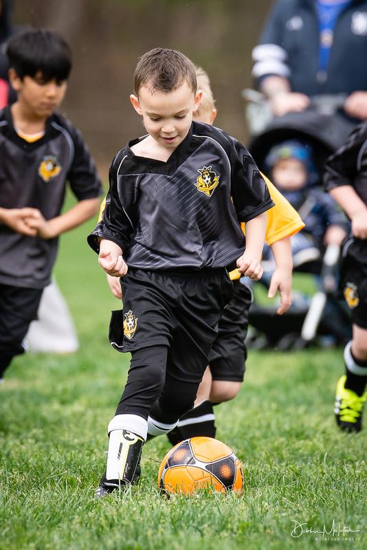 DLM_20160402_016_0018_lgweb.jpg