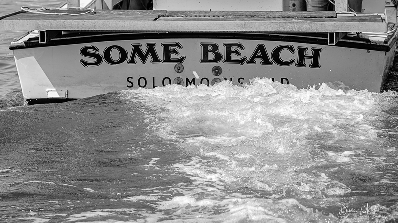 DLM_20220918_041_0137_lgweb.jpg