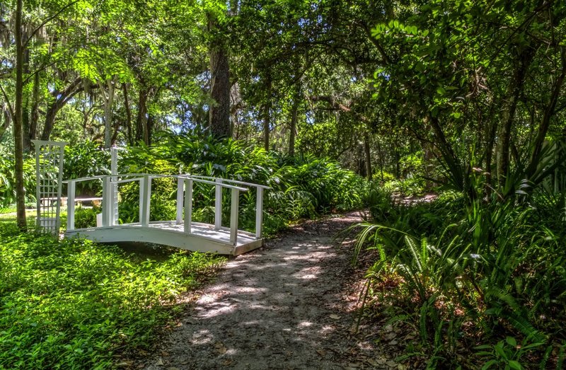 Along the Garden Path (DLM_20140521_019_0033_4_5_tonemapped_web).jpg