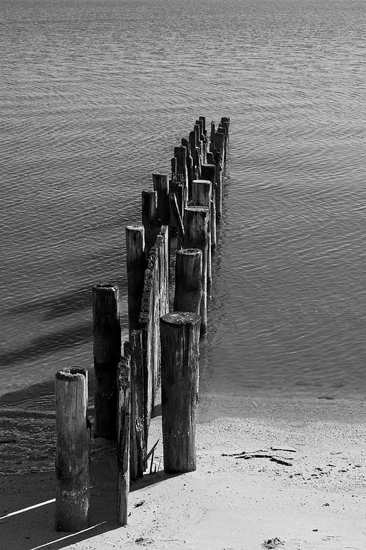DLM_20140215_05_0002_crpbwvl_web.jpg