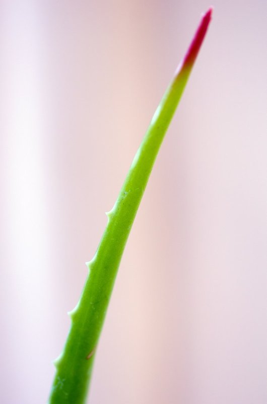DLM_20140301_007_0006_web.jpg