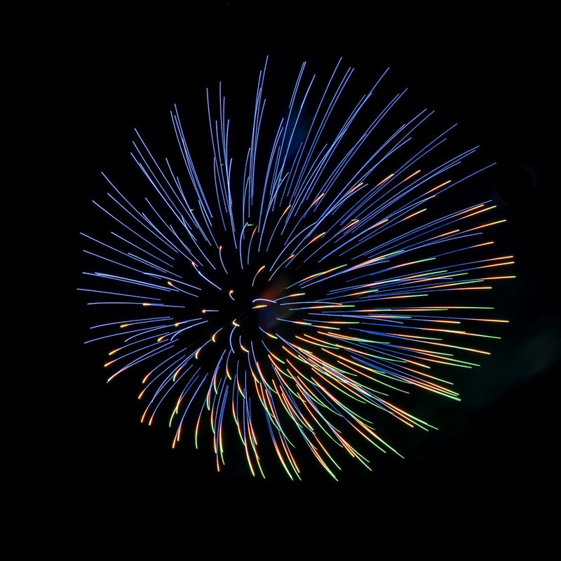 Firework Button (DLM_20150412_027_0235_web).jpg