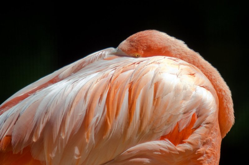 I have my eye on you (DLM_20140607_021_0016_web).jpg