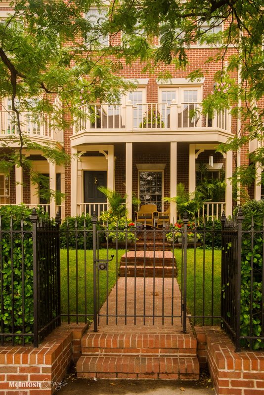 Mint Julep (DLM_20140802_035_0020_lgweb).jpg :: A row of houses in Fells Point with lush green grass and beautiful sunflowers line the water at Fells Point, MD