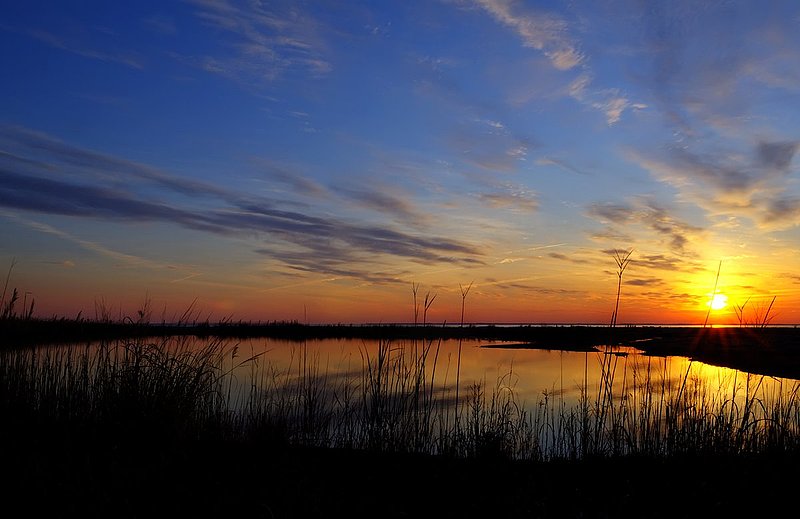 Painted Sky (DLM_20140316_009__0202_3_4_tonemapped_v2_web).jpg