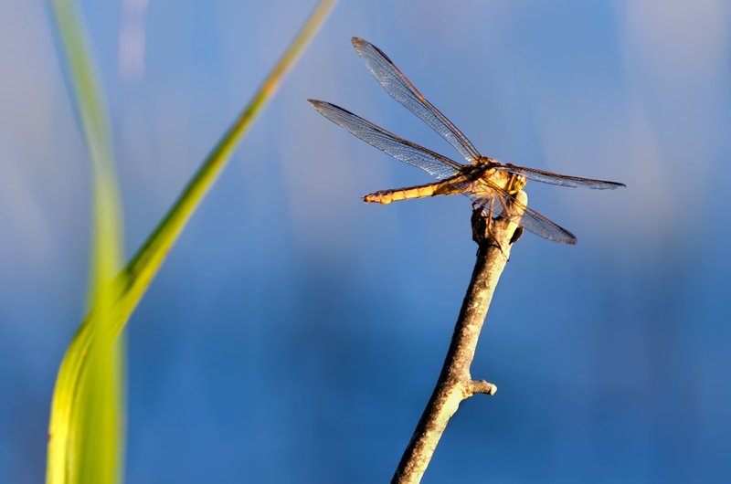 Prepared for Takeoff (DLM_20140705_030_0012_v2_web).jpg