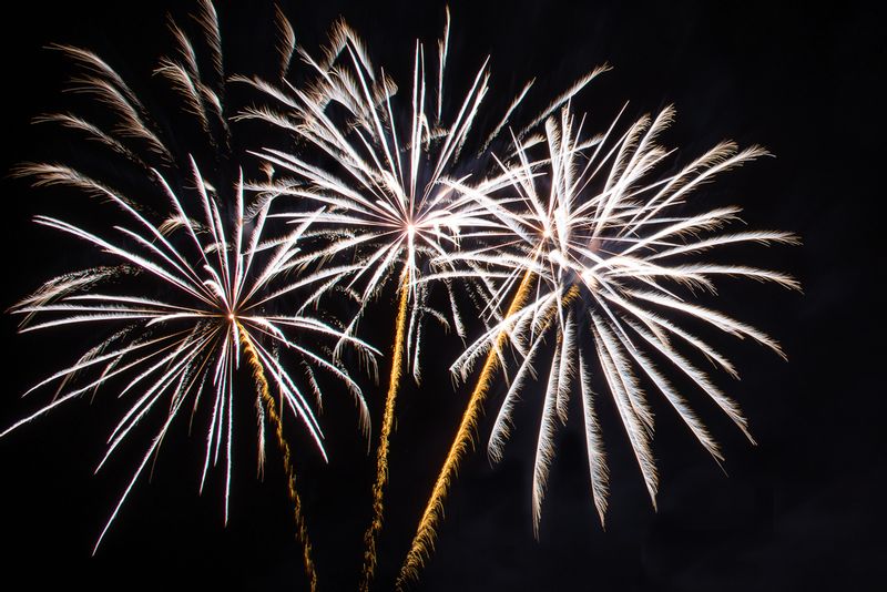 Sky Palms (DLM_20150412_027_0093_web).jpg :: 2015 M.A.F.F. in Allens Fresh, MD.  Unbelievable Fireworks display unlike anything you've ever seen.  Fireworks are going off right over your head and there is a combination of 5-8 shows all rolled into one night.  