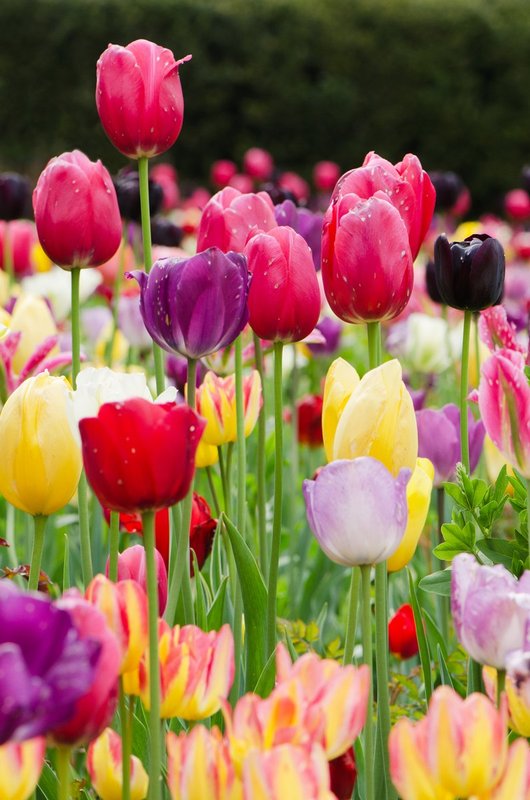 Stand Tall (DLM_20140503_017_0037_v2_web).jpg