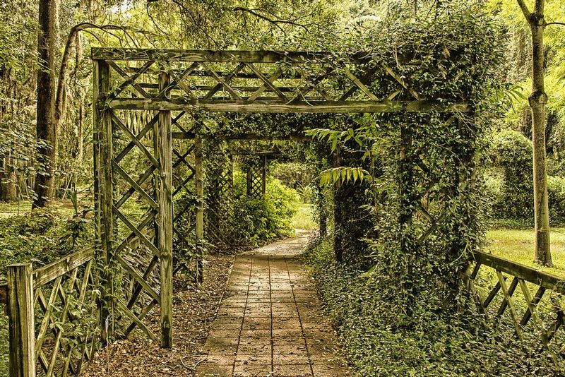 meet me in the garden.jpg