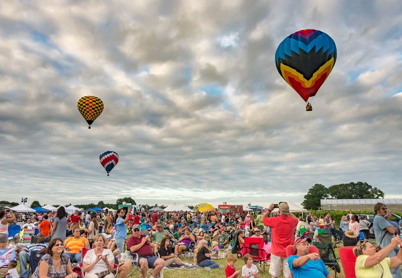 Ascension (DLM_20160805_041_0151_web).jpg :: Visitors spin this way and that to catch a glimpse and photo the balloon ascension during the Great Chesapeake Balloon and Wine Festival at Triple Creek Winery in Cordova, MD
