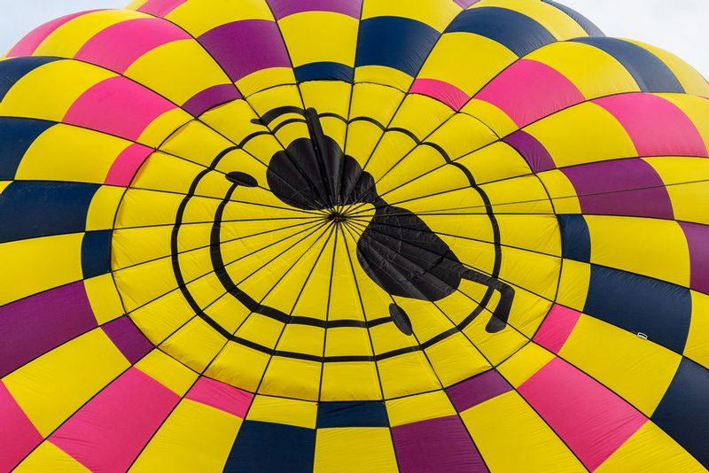 Balloon Shade (DLM_20160805_041_0110_web).jpg :: One of the decorative top/centers of a hot air balloon at the Great Chesapeake Balloon and Wine Festival in Cordova, MD