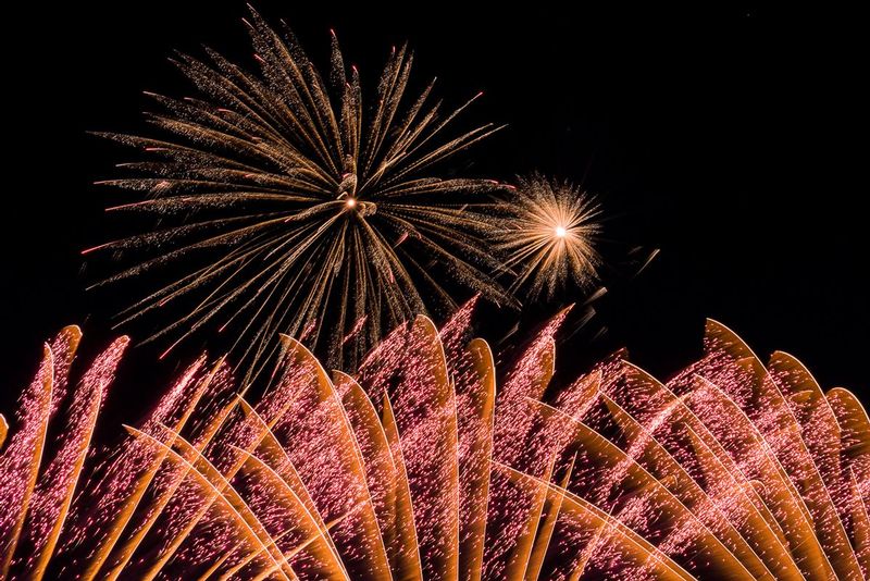 Fans and Stars (DLM_20160409_020_0054_web).jpg