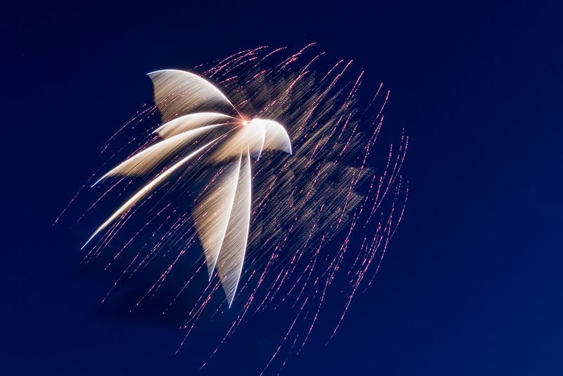Light Show Flight (DLM_20160409_020_0021_web).jpg