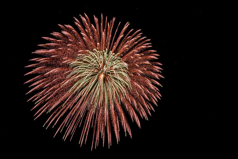 Pin Cushion (DLM_20160409_020_0143_web).jpg