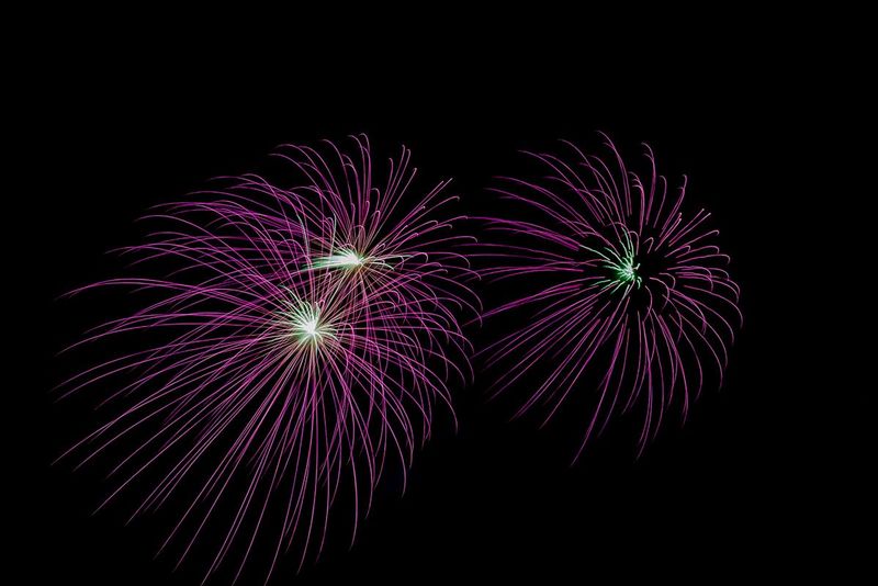 Purple Tentacles (DLM_20160409_020_0032_web).jpg