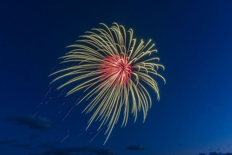 Sky Anemone (DLM_20160409_020_0025_web).jpg