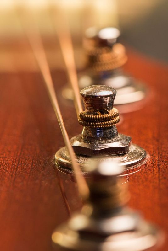 Tuning Heads (DLM_20160218_012_0035_web).jpg